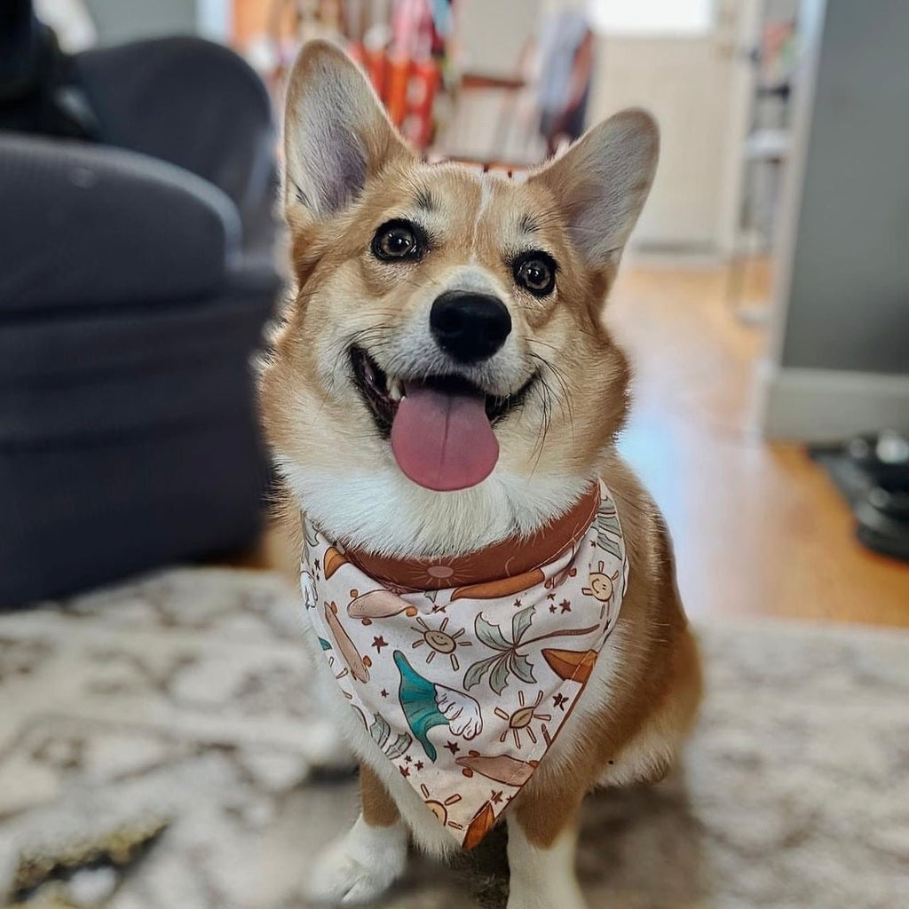 Rustic Summer Bandana - Reversible - Jersey Border Collars