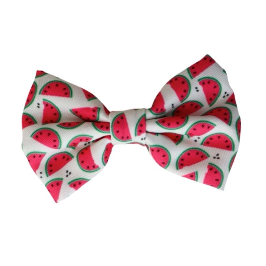 WATERMELON - DOG COLLAR BOW TIE - Jersey Border Collars