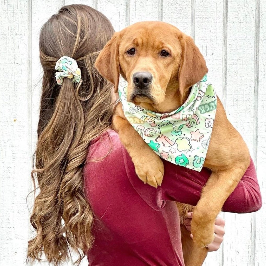 Lucky Charms Bandana - Jersey Border Collars