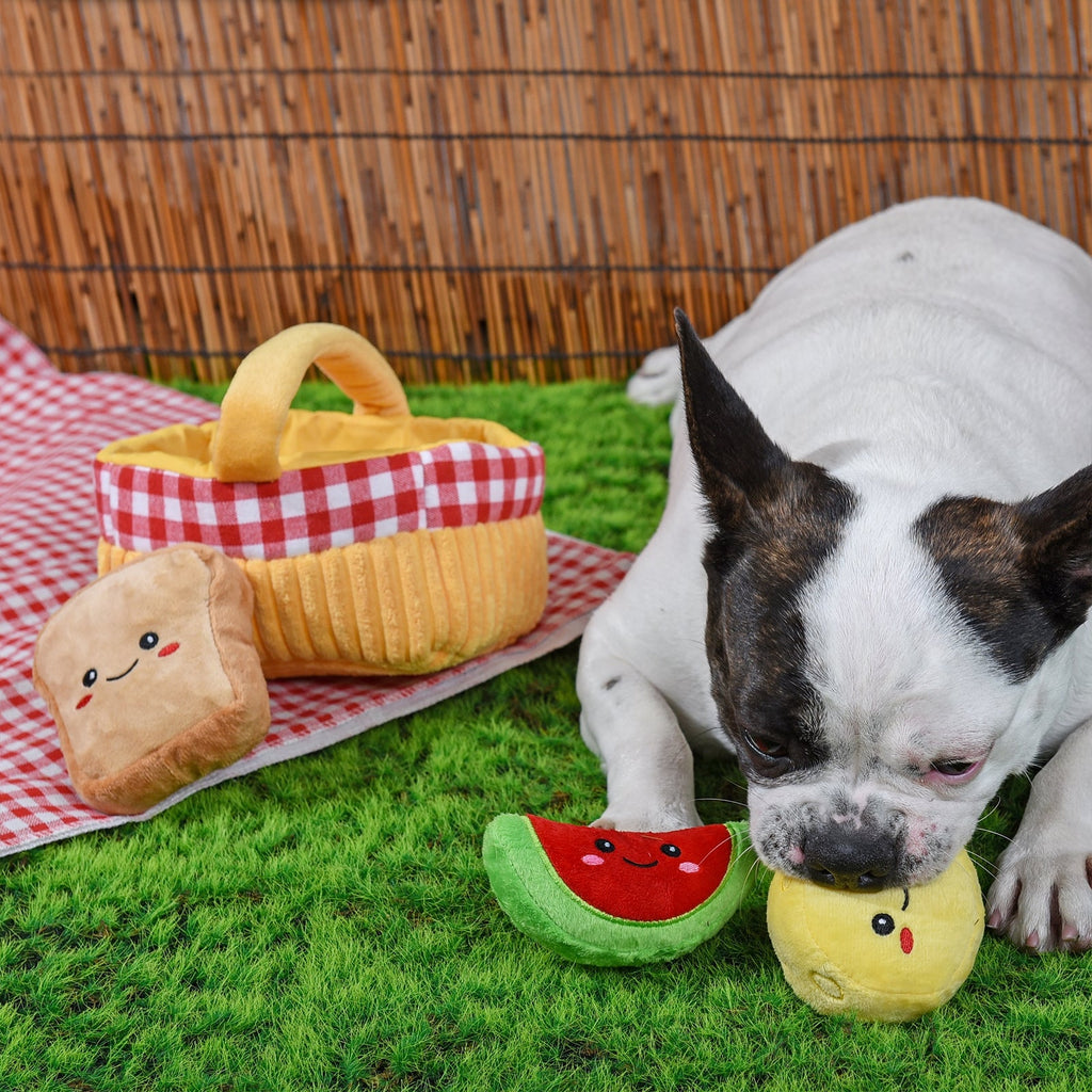 Picnic Time | Picnic Basket Dog Toy - Jersey Border Collars