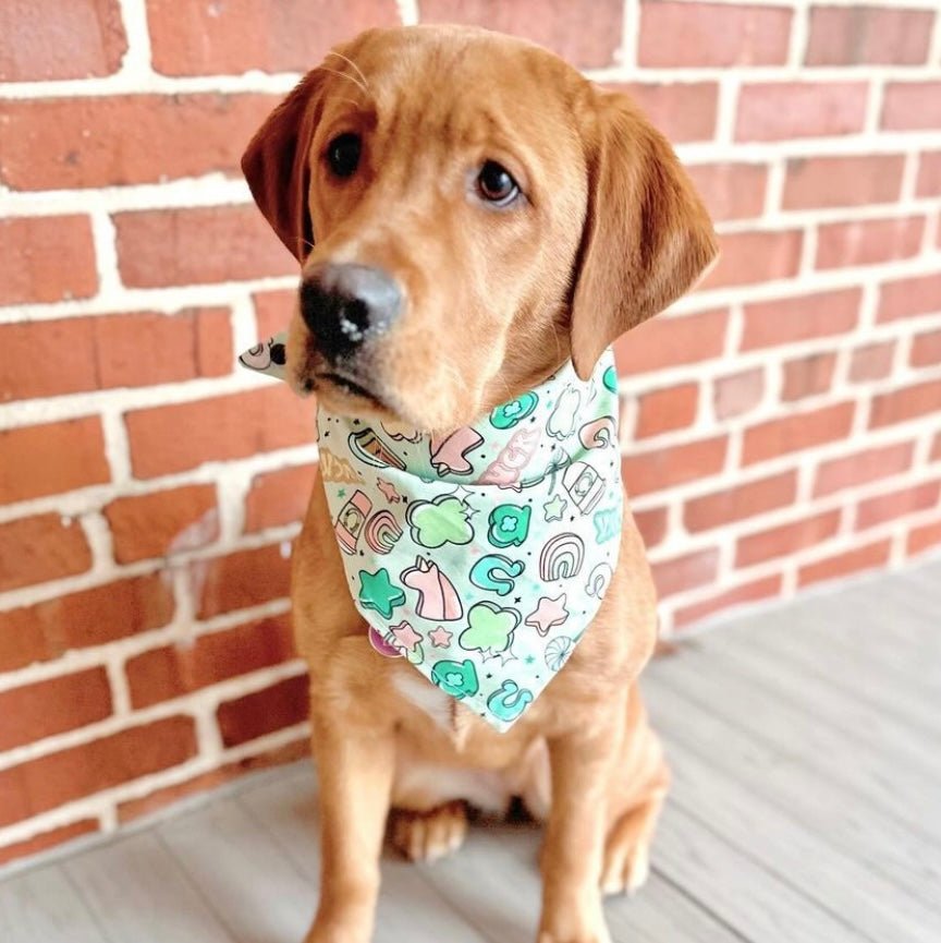 Lucky Charms Bandana - Jersey Border Collars