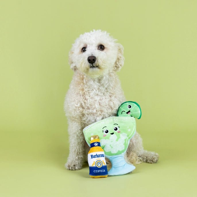 Drop Me A Lime Hide and Seek Dog Toy - Jersey Border Collars