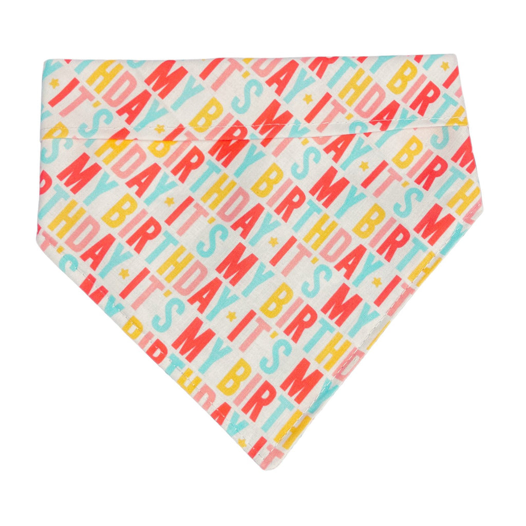 It's My Birthday Bandana - Jersey Border Collars