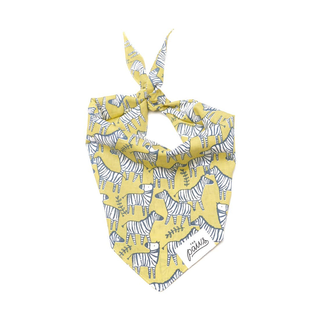 Neon Safari Bandana - Jersey Border Collars