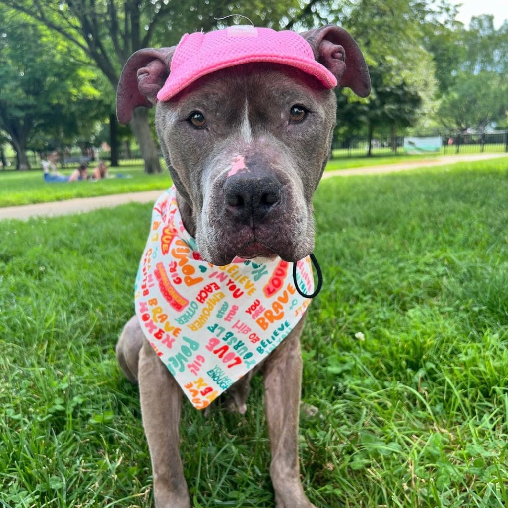 Girl Power Bandana - Jersey Border Collars