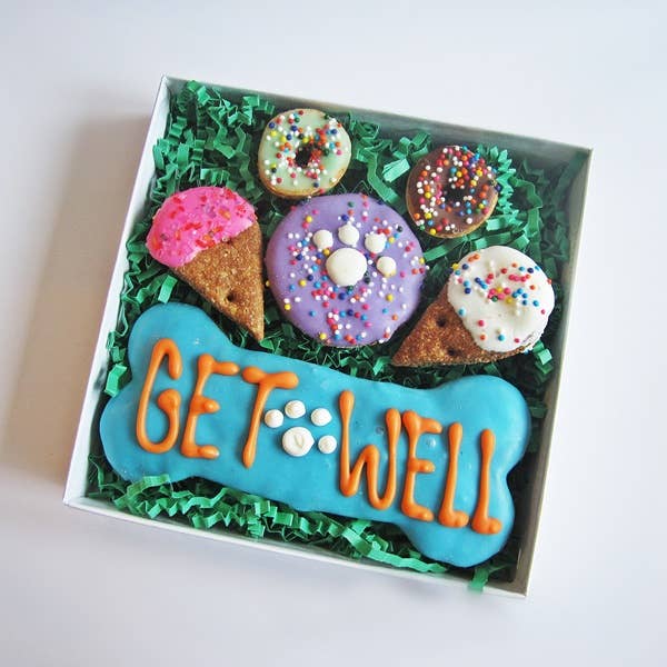 Get Well Dog Treat Gift Box - Dog Treats - Jersey Border Collars