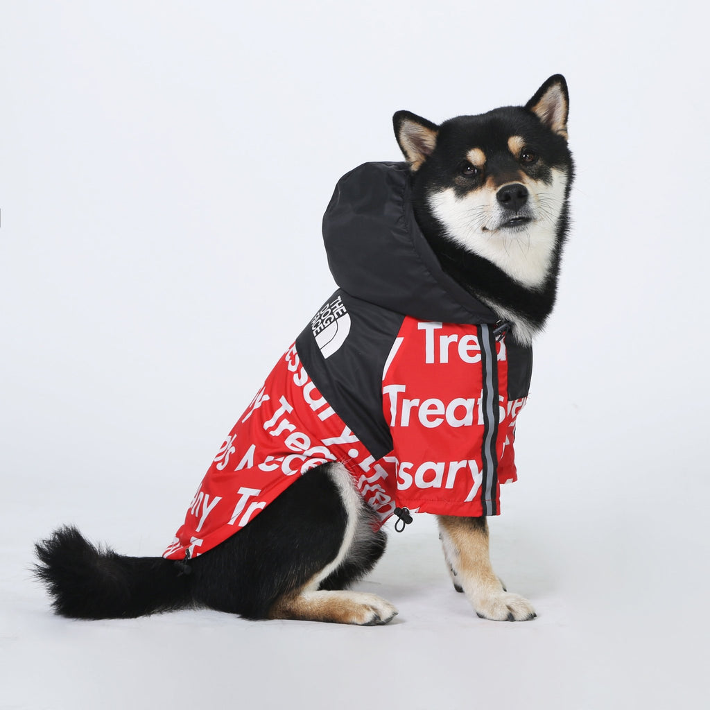 The Dog Face Red Windbreaker Jacket - Jersey Border Collars