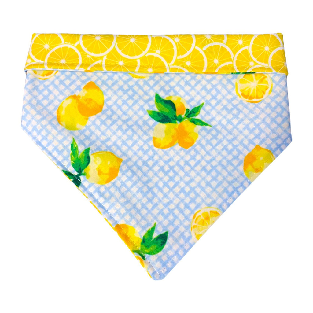 Lemons Bandana - Reversible - Jersey Border Collars