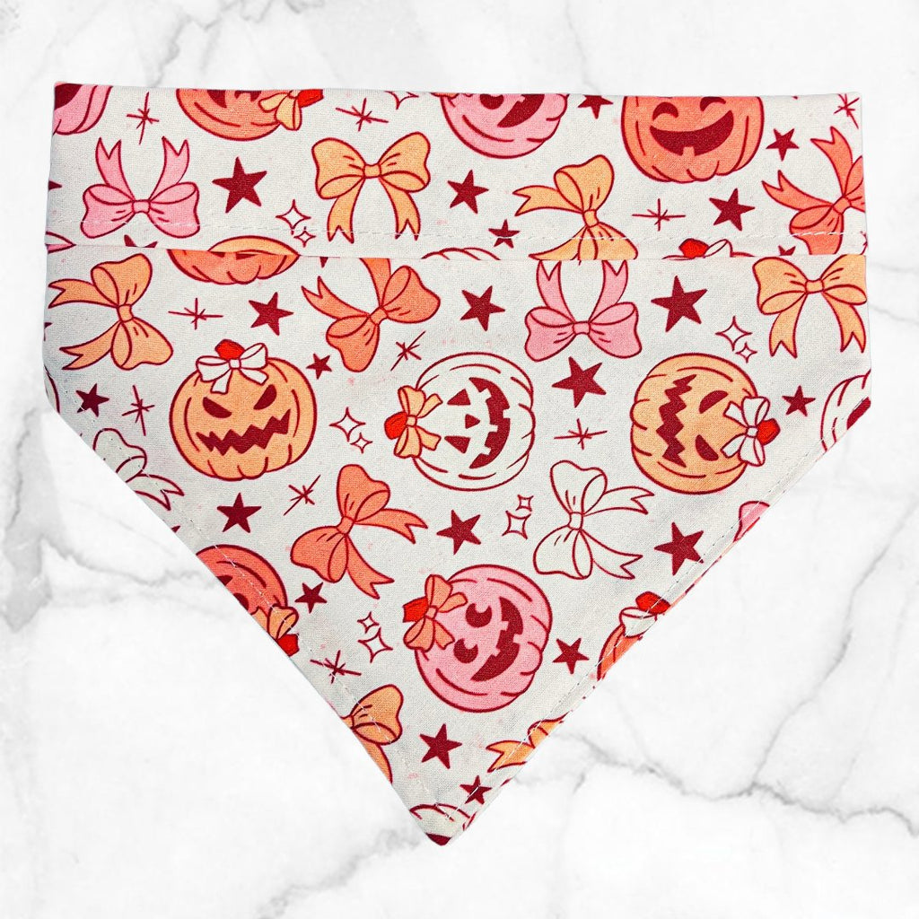 Pretty'n Pumpkins Bandana - Jersey Border Collars