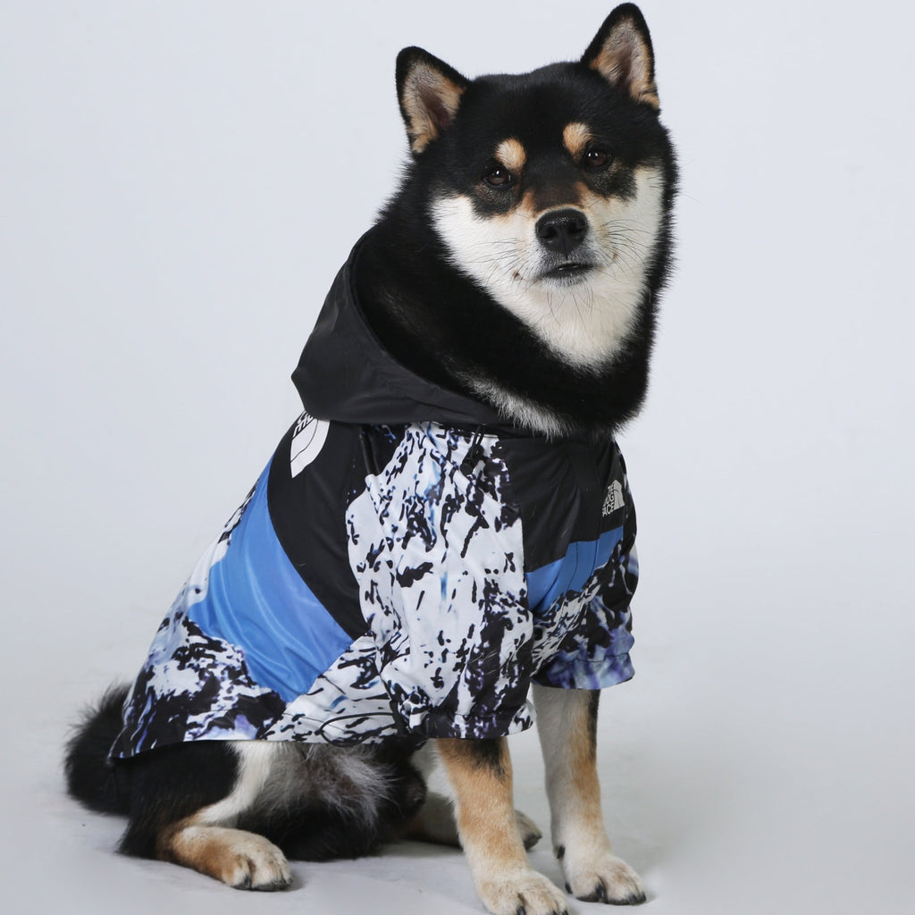 The Dog Face Blue Mountain Windbreaker Jacket - Jersey Border Collars