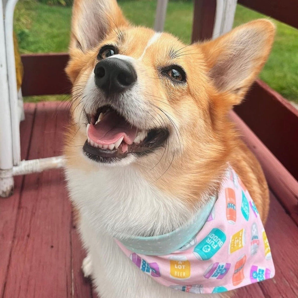 Pink Brew Buddy Bandana - Reversible - Jersey Border Collars