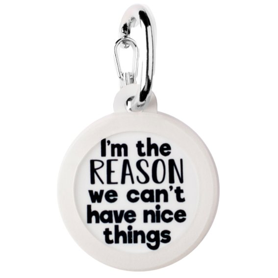 Can’t Have Nice Things Pet Tag - Jersey Border Collars