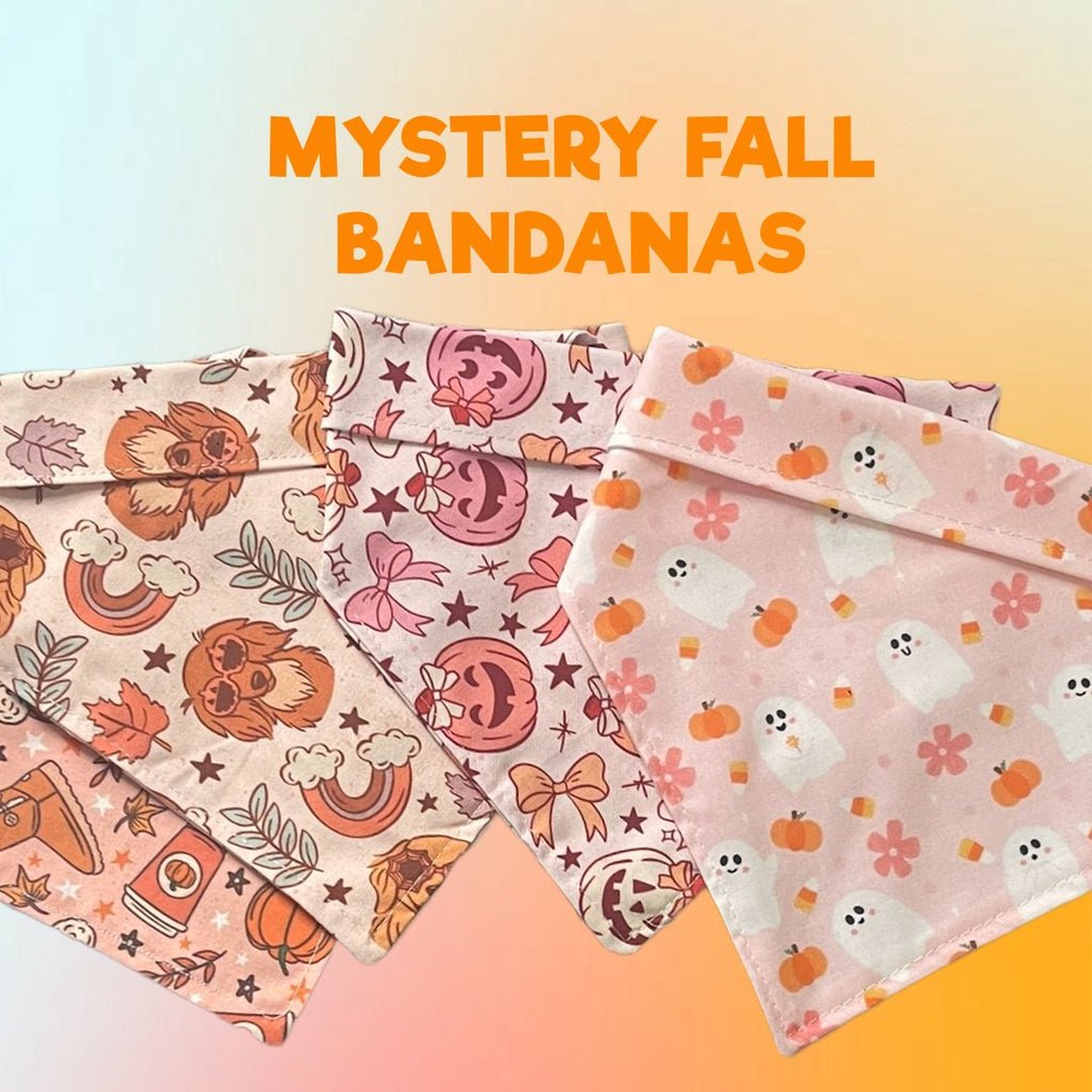 3 Mystery Fall Dog Bandanas - Jersey Border Collars