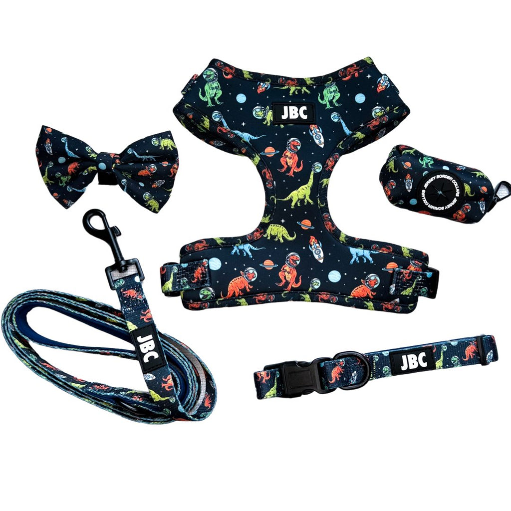 Space Dinos - Bundle Set - Jersey Border Collars