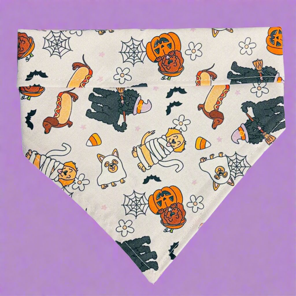 Happy Howl - O - Weeny Bandana - Jersey Border Collars