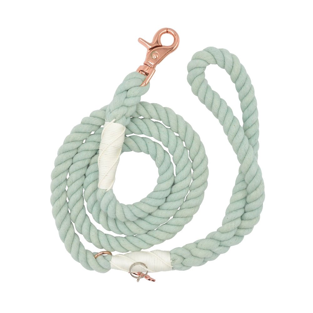 Dog Rope Leash - Mint to Be - Jersey Border Collars