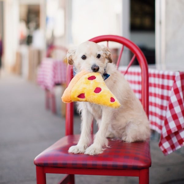 NomNomz® - Pizza Slice - Jersey Border Collars