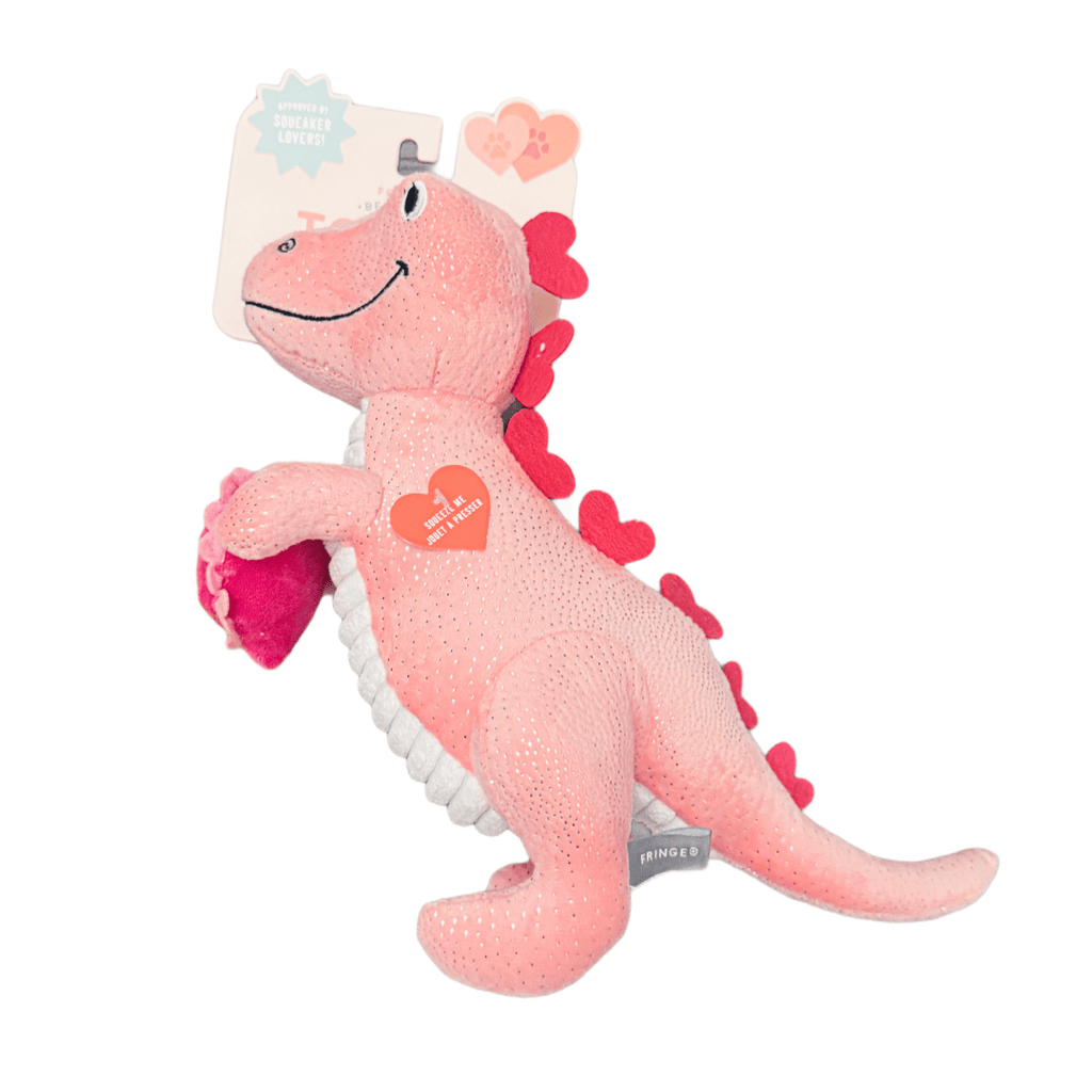 Small Arms Big Hearts Dinosaur Squeaky Dog Toy - Jersey Border Collars