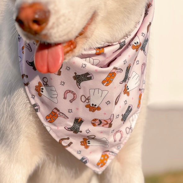 Howdy Ghosts Bandana - Jersey Border Collars