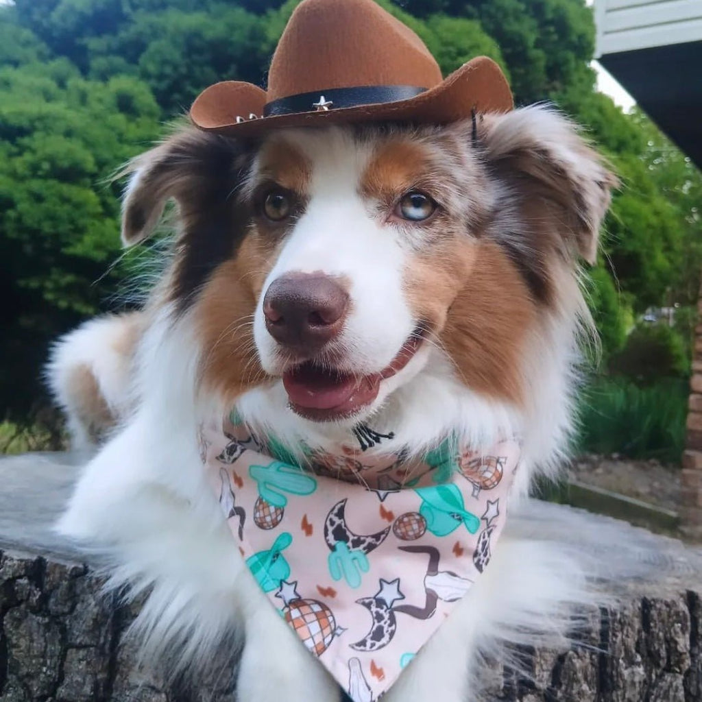 Wild West Disco Bandana - Jersey Border Collars