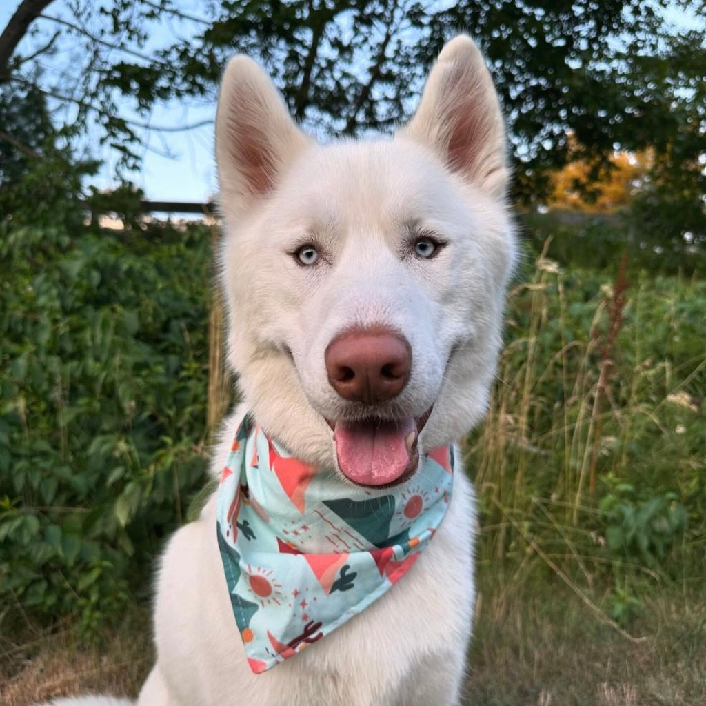 Boho Mountains Bandana - Jersey Border Collars