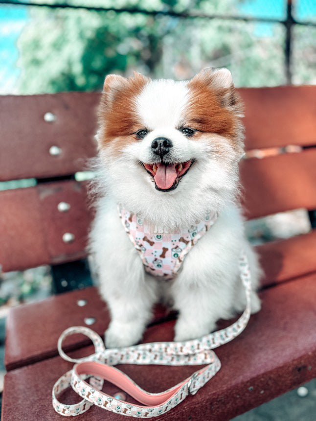 Puppuccino Please Adjustable Harness - Jersey Border Collars