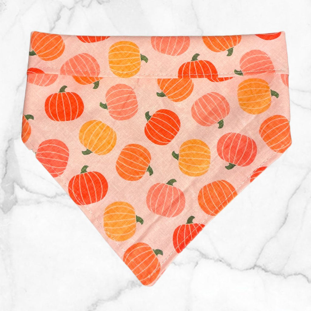 Pumkin Toss Bandana - Jersey Border Collars