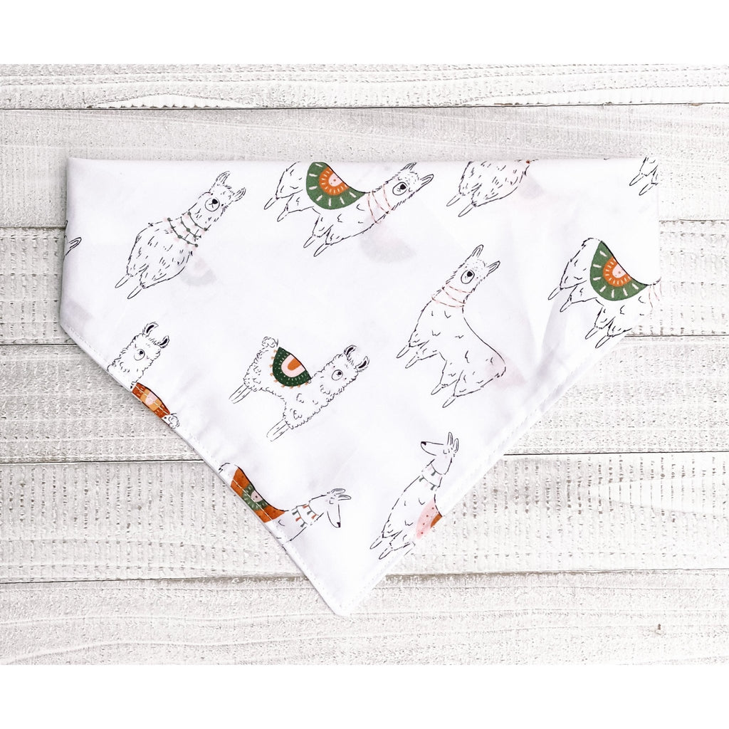 Llama Bandana - Jersey Border Collars