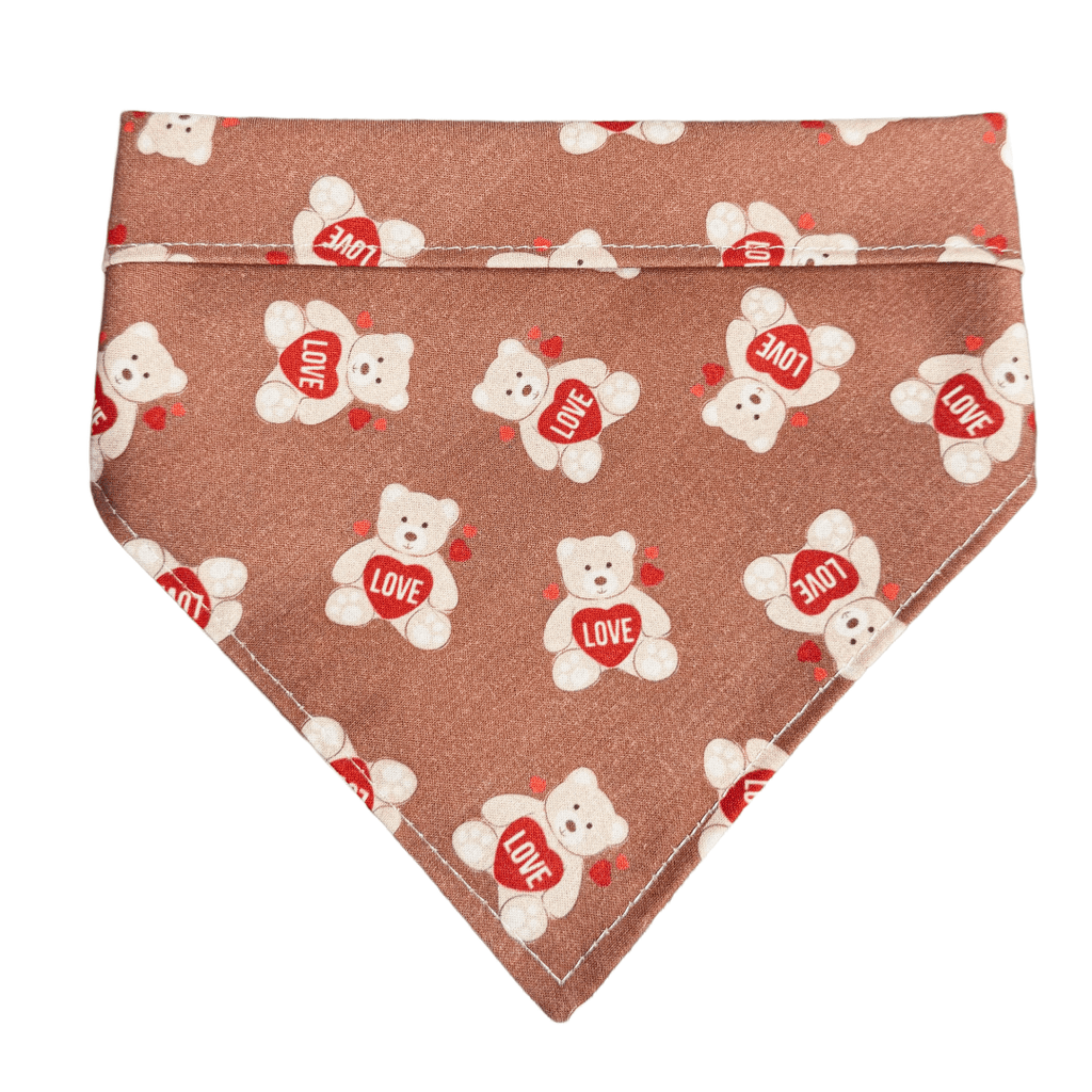 Teddy Bear Bandana - Jersey Border Collars