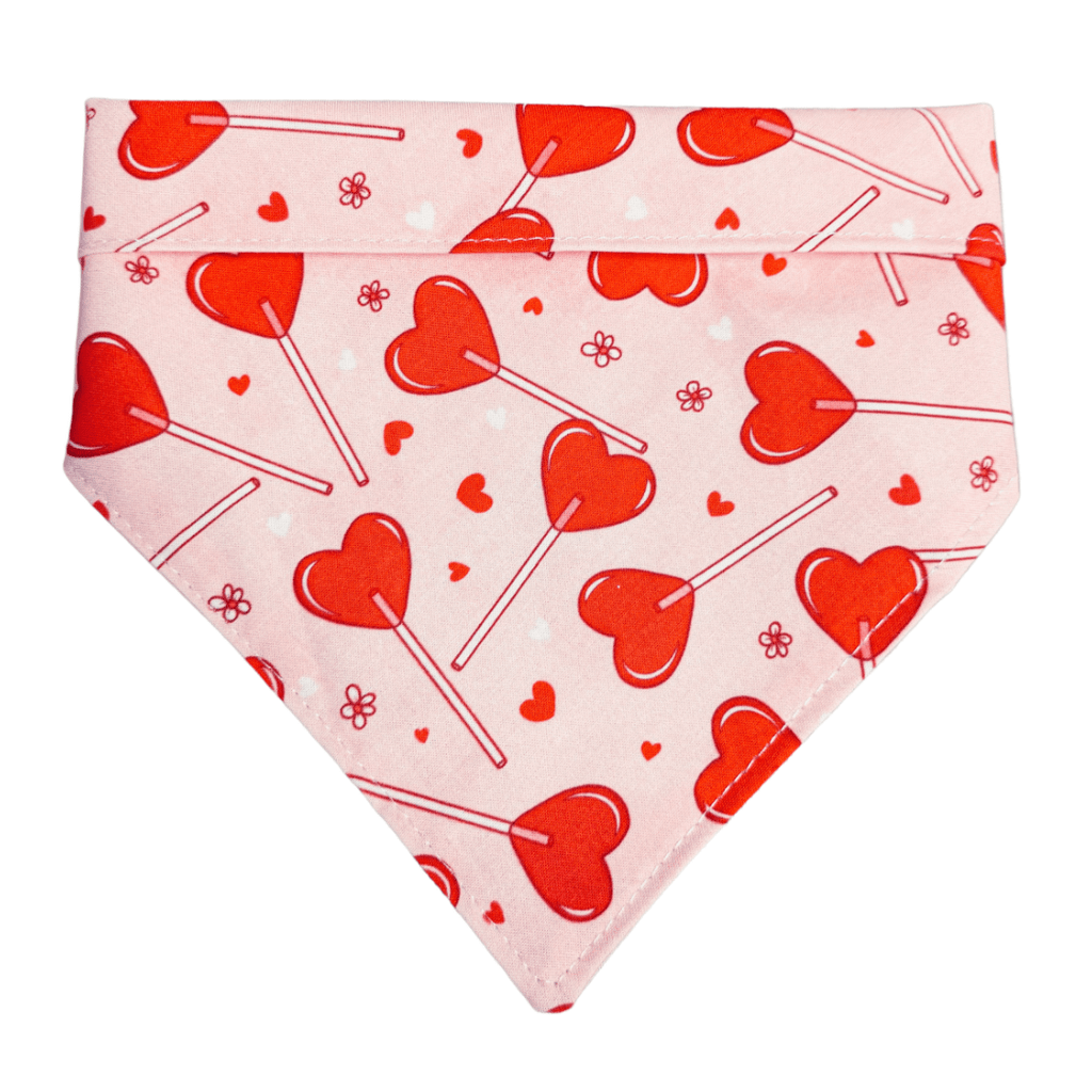 Lickable Pops Bandana - Jersey Border Collars