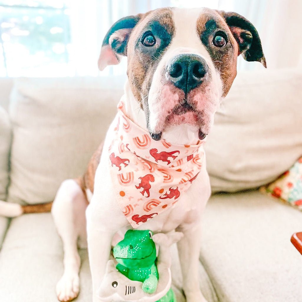 Dinos Chasing Mountains Bandana - Jersey Border Collars