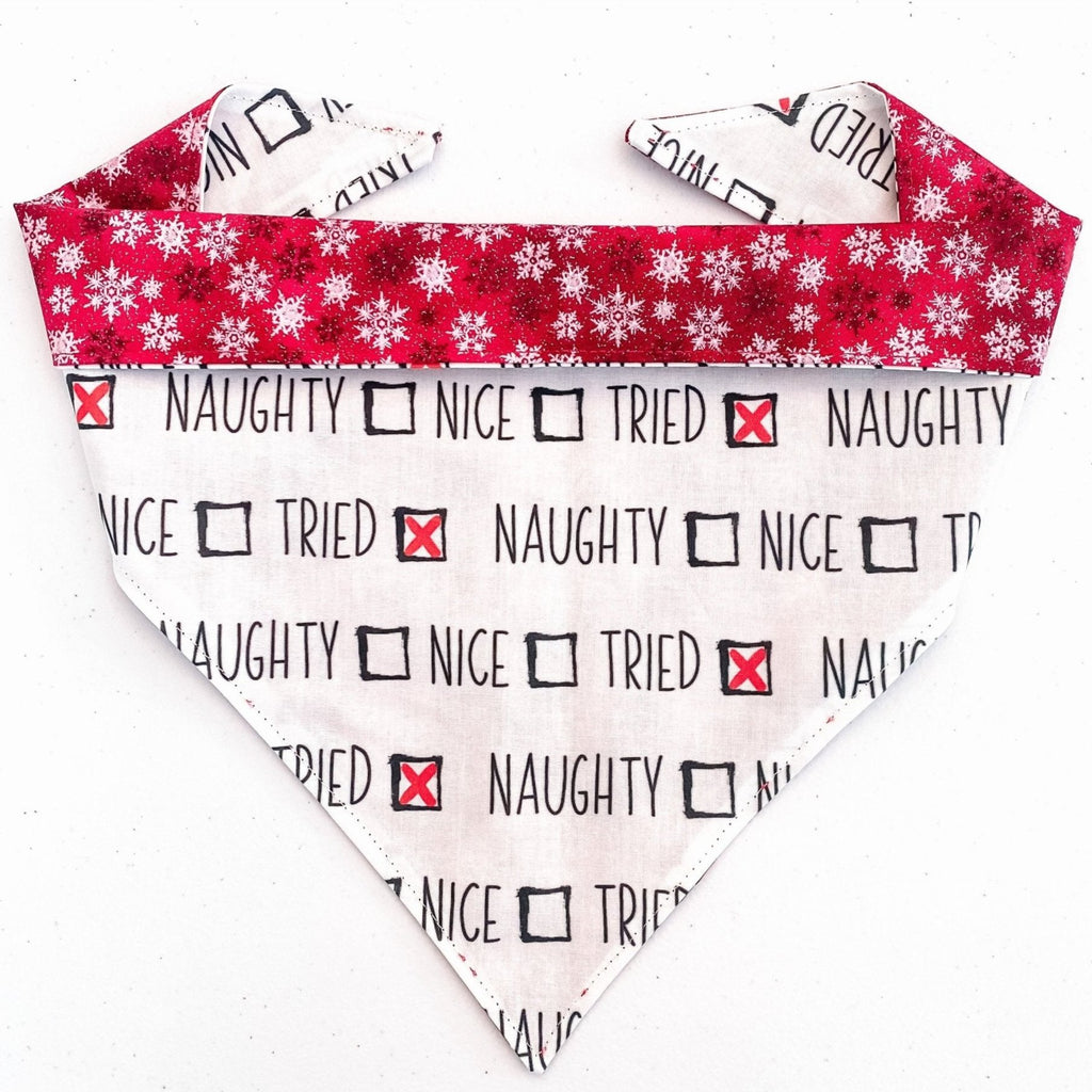 Naughty, Nice, I Tried / Red Snowflake Bandana - Reversible - Jersey Border Collars