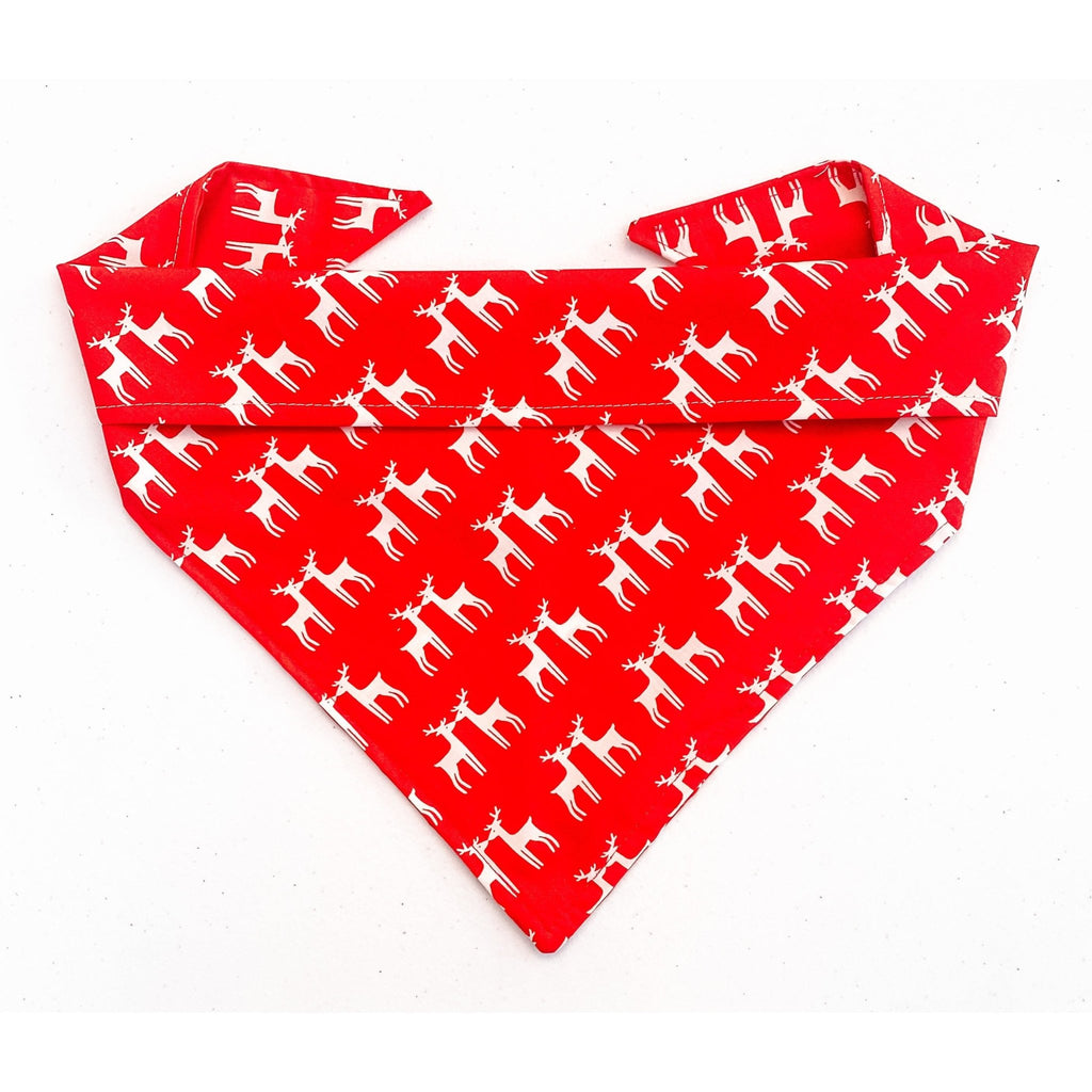 Red Reindeer Bandana - Jersey Border Collars