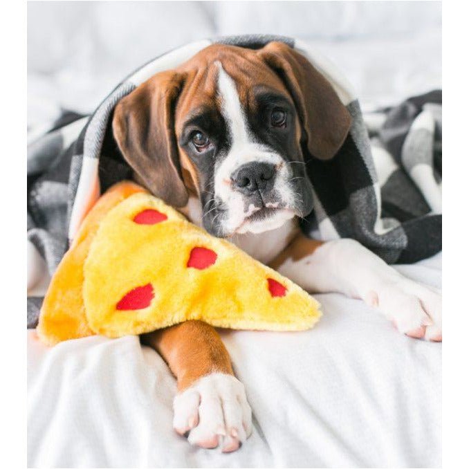 NomNomz® - Pizza Slice - Jersey Border Collars