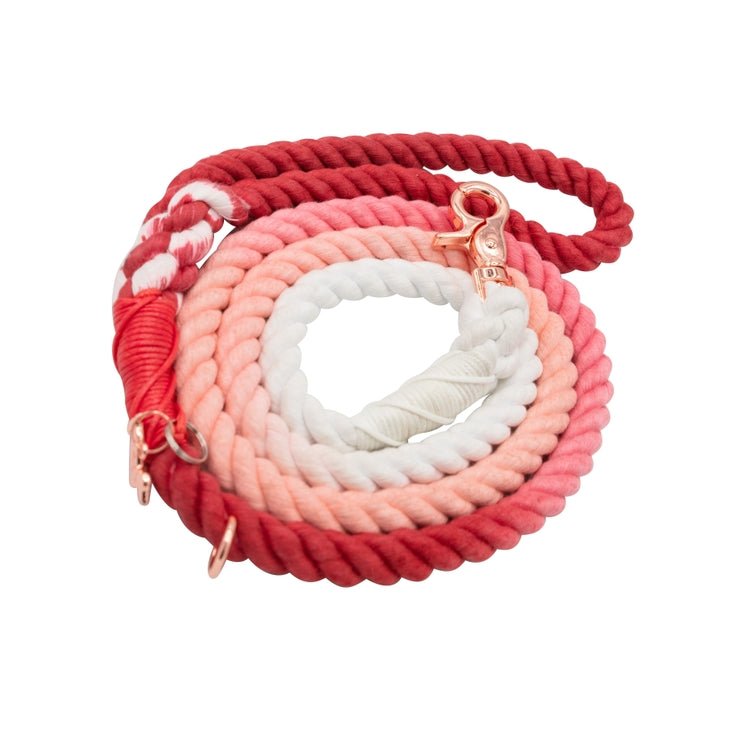 Rope Leash - Poppy - Jersey Border Collars