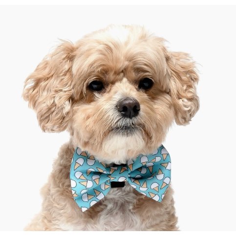 Ice Cream - Dog Collar Bow Tie - Jersey Border Collars