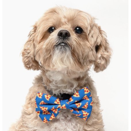 Royal Blue Pizza - Dog Collar Bow Tie - Jersey Border Collars