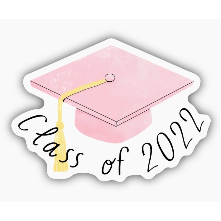 Class Of 2022 Sticker - Pink - Jersey Border Collars