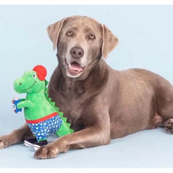 "Mr. USA" Dinosaur Squeaky Dog Toy - Jersey Border Collars