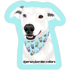 JBC's Koda Bobalicous Sticker - Jersey Border Collars