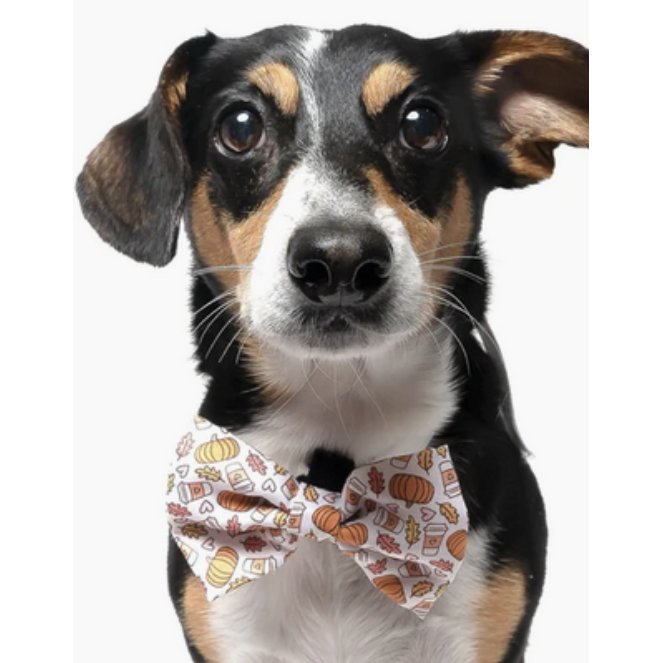 Fall Vibes - Dog Collar Bow Tie - Jersey Border Collars