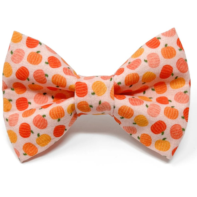 Pumpkin Pet Bow Tie for Fall - Jersey Border Collars