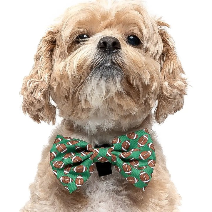 Football - Dog Collar Bow Tie - Jersey Border Collars