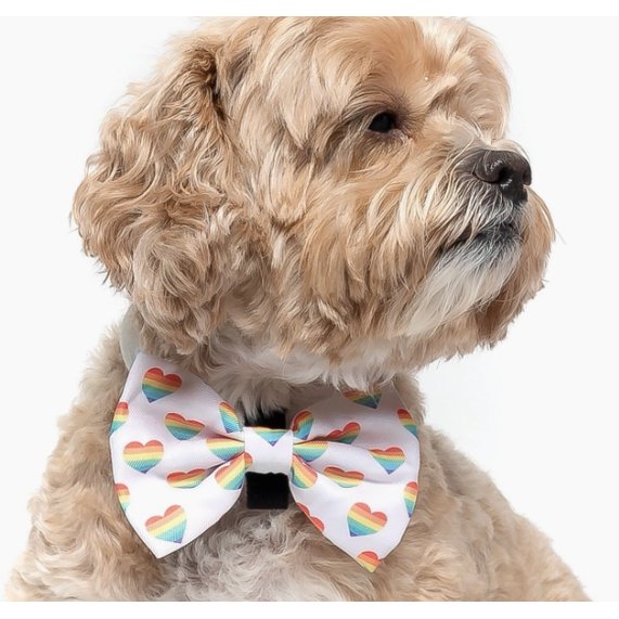 Love Is Love - Dog Collar Bow Tie - Jersey Border Collars