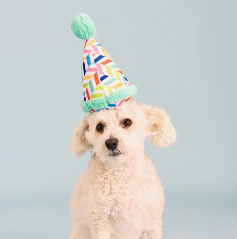 Cheers For A Barkday - Jersey Border Collars