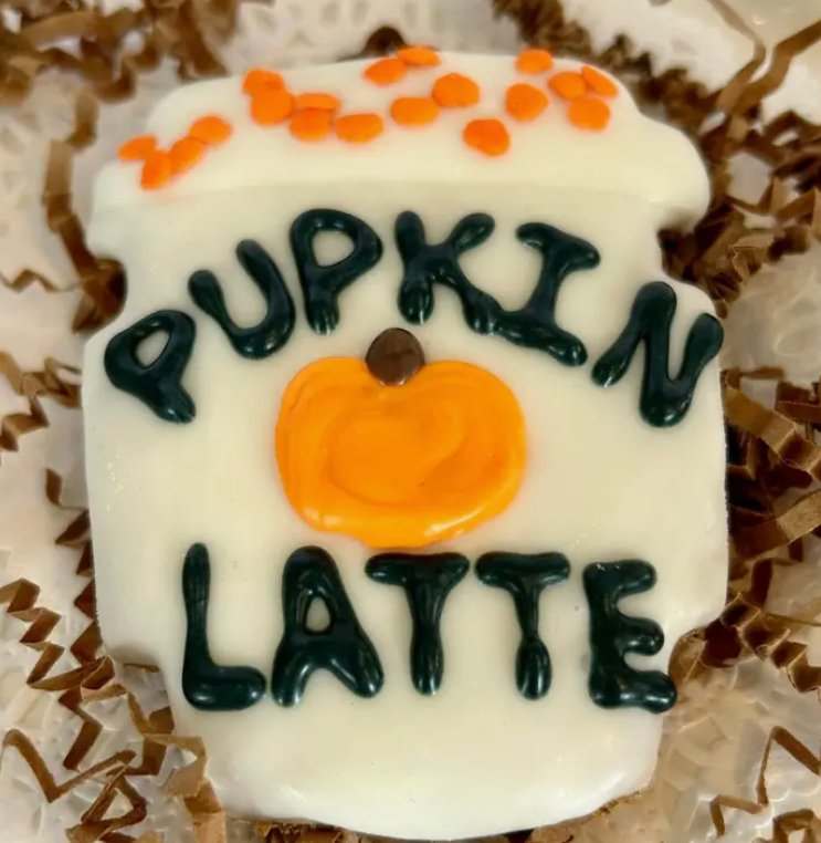 Gourmet Pupkin Latte Dog Treat - Jersey Border Collars