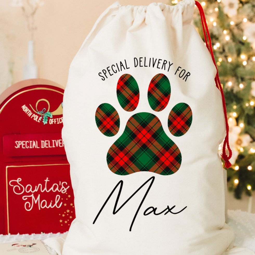 Personalized Dog Christmas Gift Sack for Christmas - Jersey Border Collars