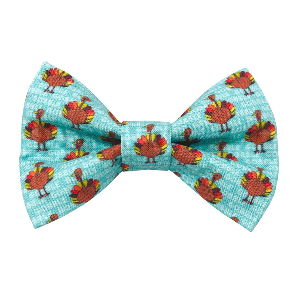 Thanksgiving Turkey Pet Bow Tie - Jersey Border Collars