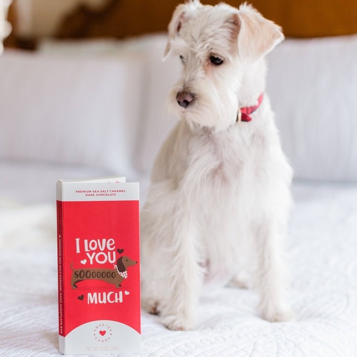 Valentine's Day Chocolate Card: "I Love You SoOoO Much" - Jersey Border Collars