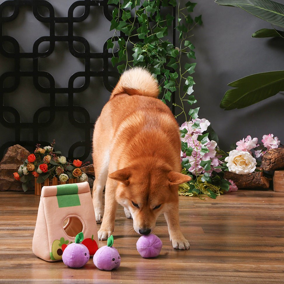 Go Market | Grocery Bag - Interactive Dog Toy - Jersey Border Collars